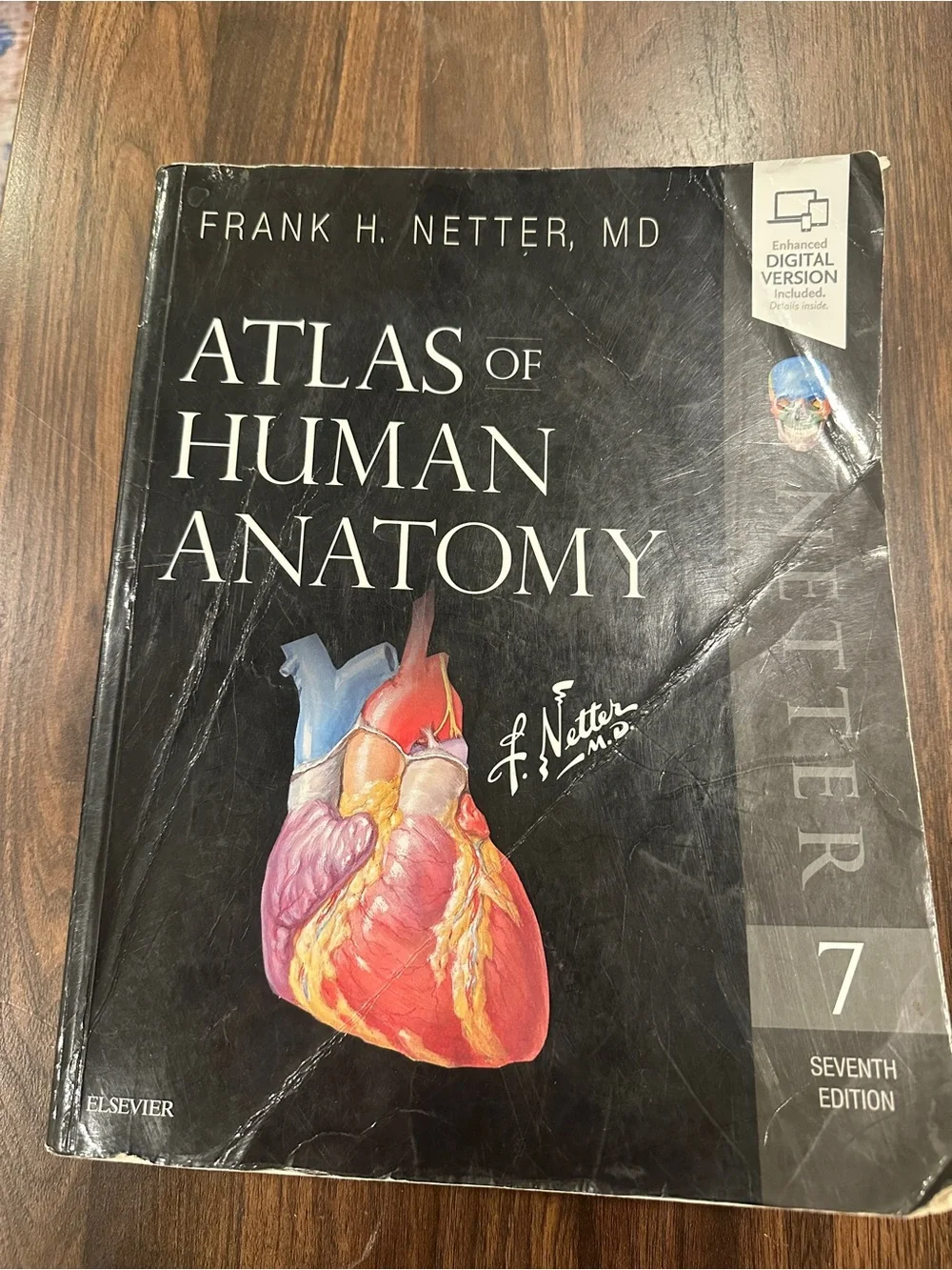 Frank H. Netter Atlas of Human Anatomy, 7th Edition - Black Cover